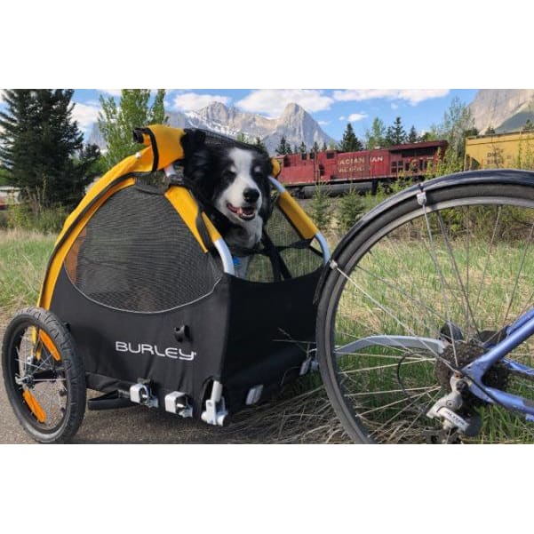BURLEY Tail Wagon - Sykkelvogn