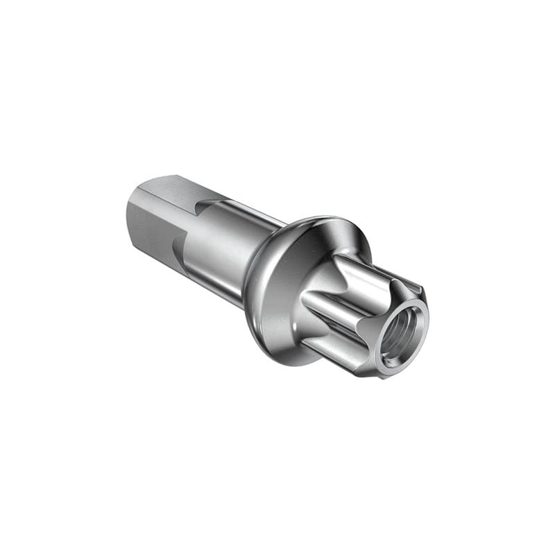 DT SWISS 2.00 Nippel Squorx Pro Head Messing Prolock 15mm - Sølv