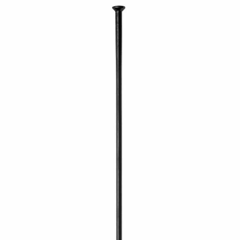 DT SWISS Competition 2.0 Straight Pull Svart - 283 - Eiker