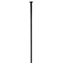 DT SWISS Competition 2.0 Straight Pull Svart - 283 - Eiker